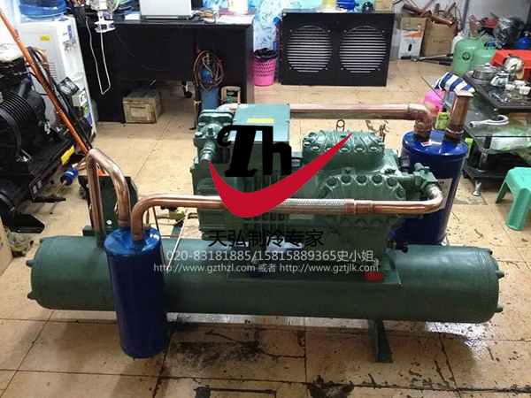 比泽尔水冷机组9.jpg